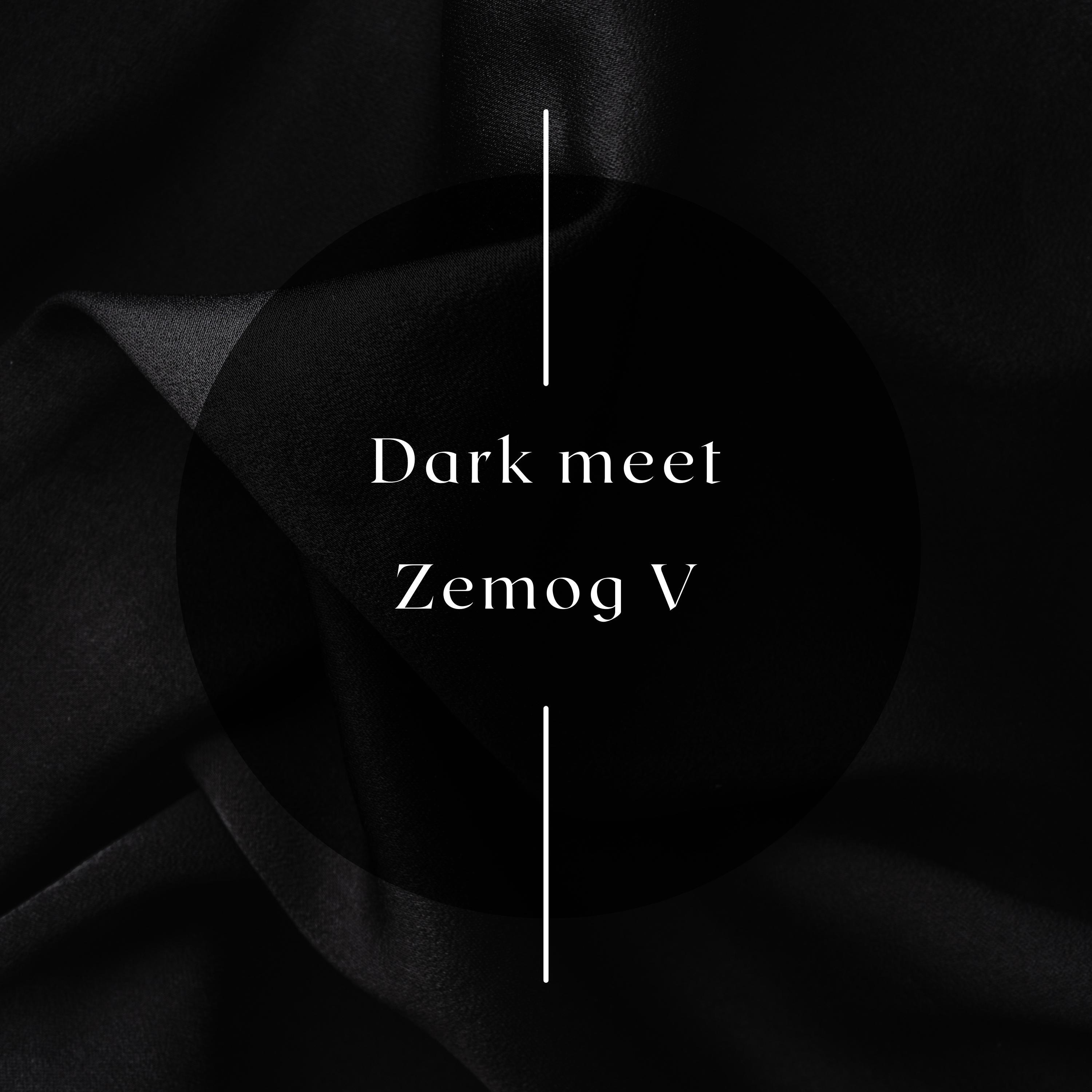 Dark meet album cover