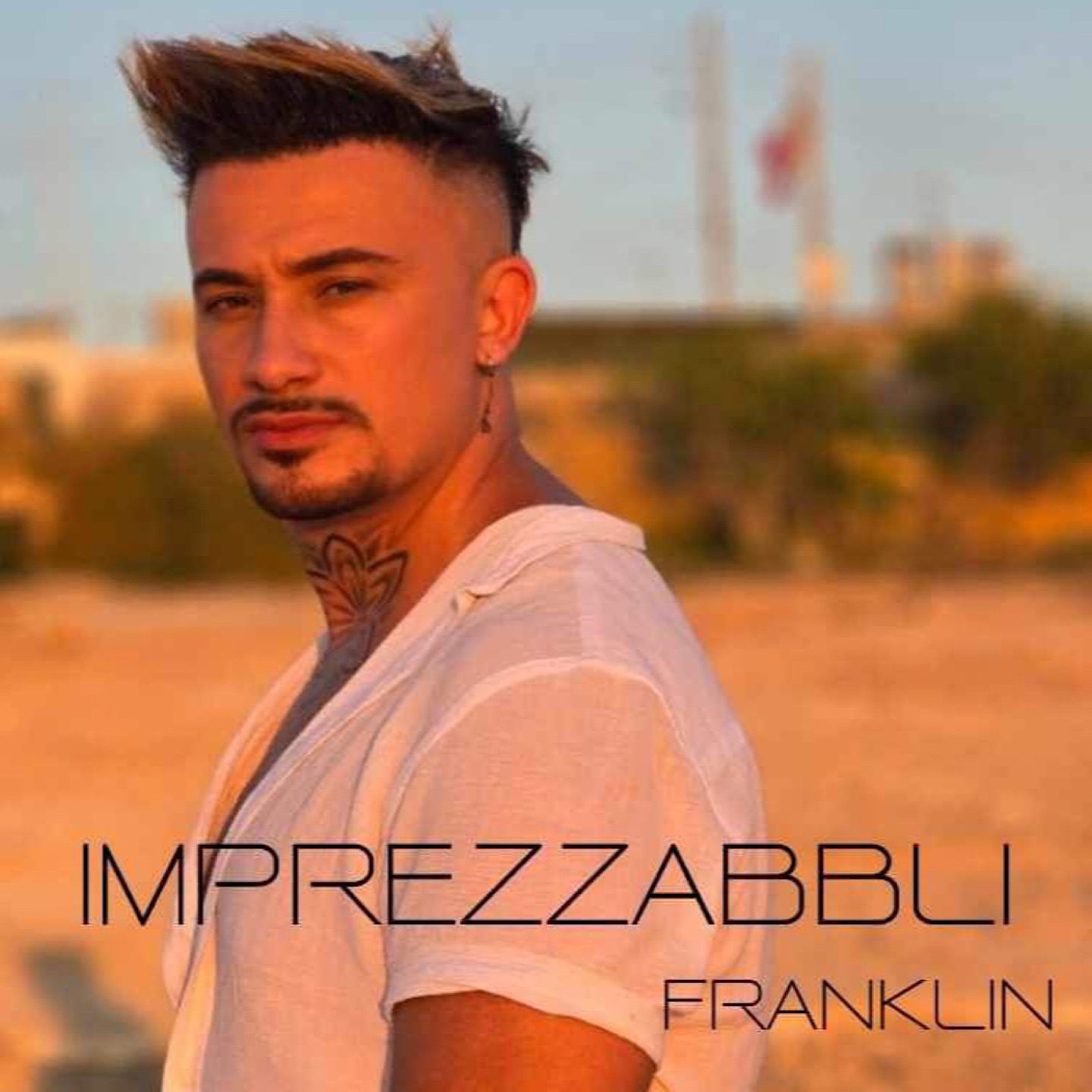 Imprezzabbli - Single album cover