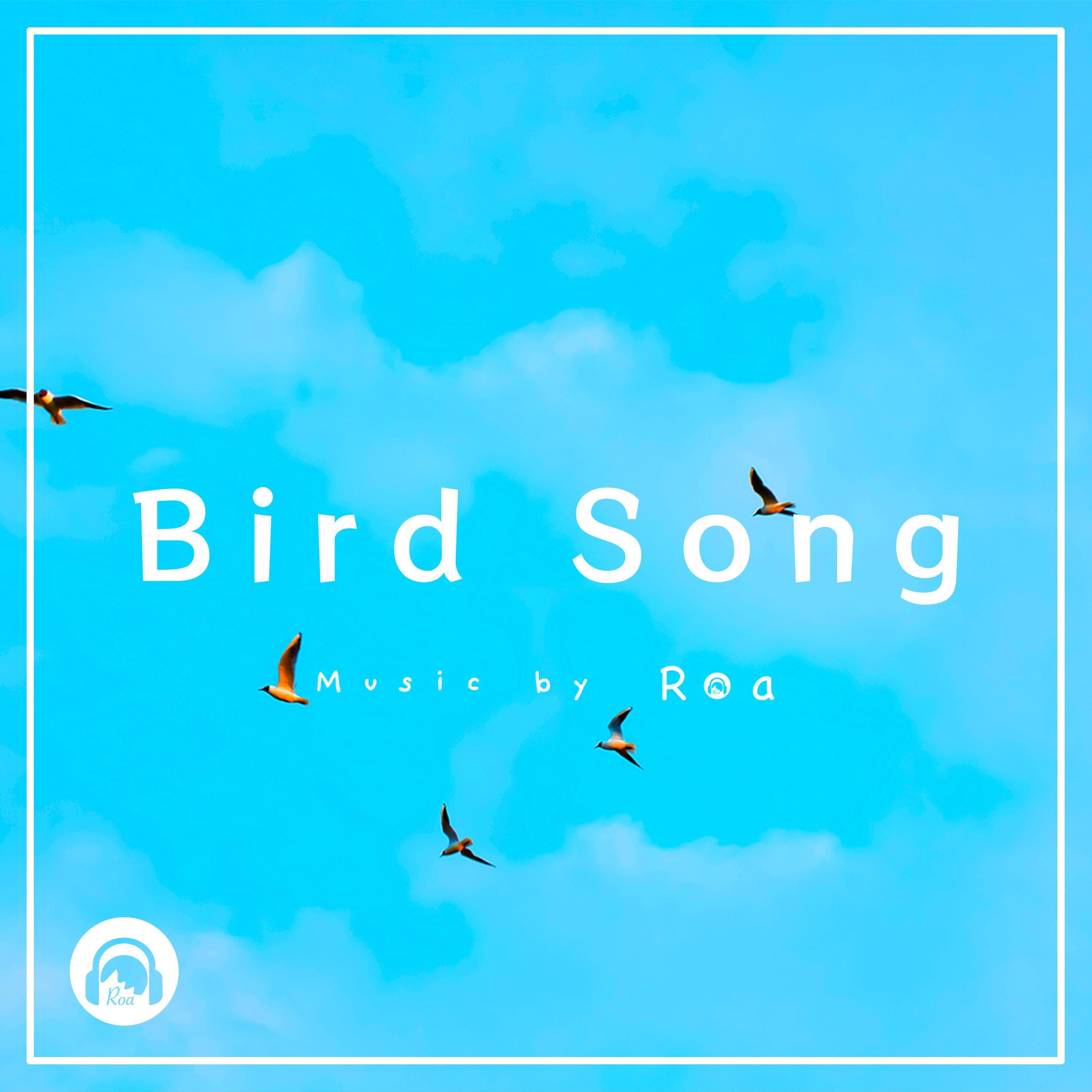 Bird Song - Single album cover