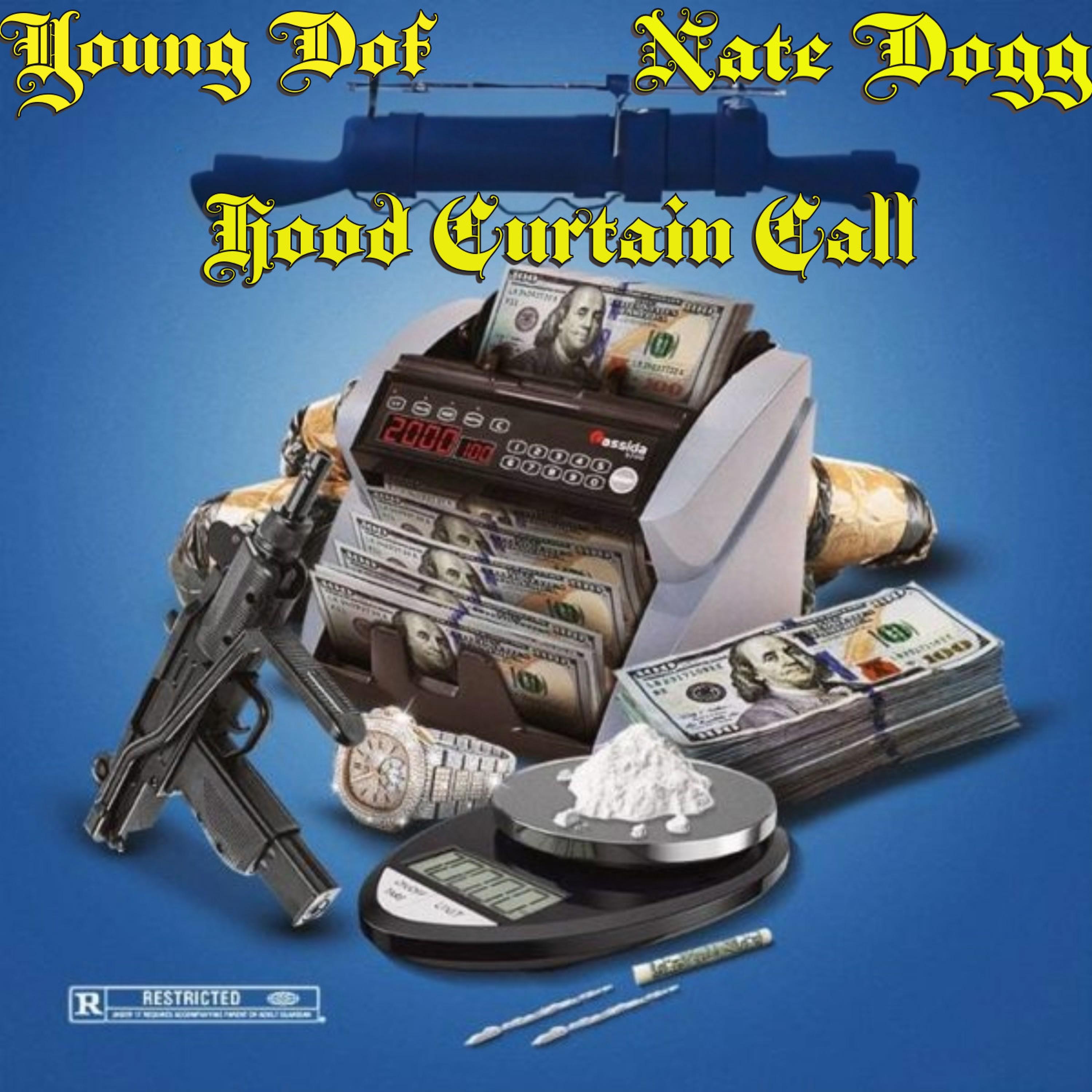 Hood Curtain Call (feat. Nate Dogg) [Radio Edit] - Single album cover