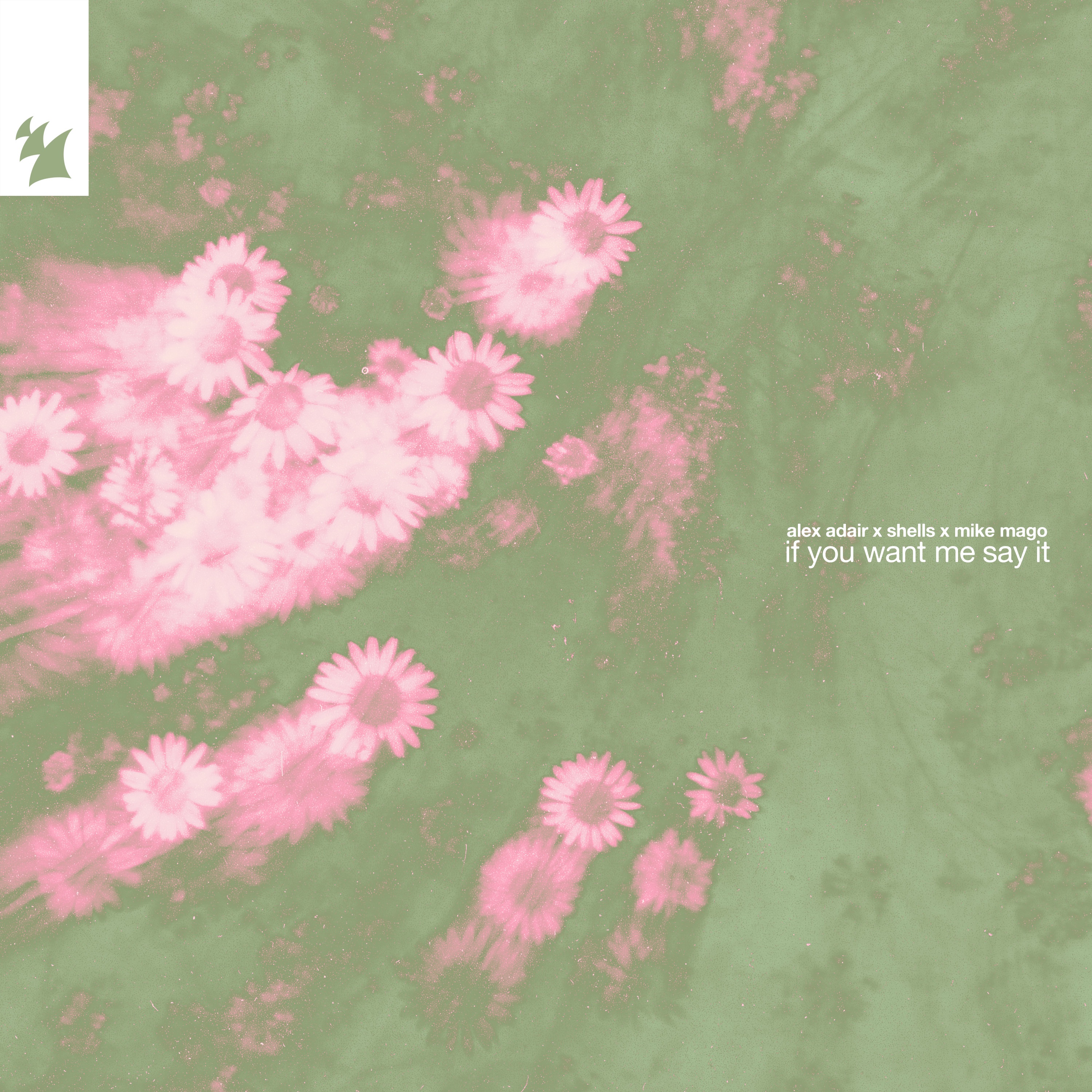 If You Want Me Say It - Single album cover