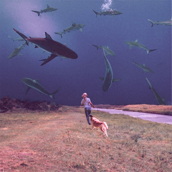 Lose You (feat. Soccer Mommy) - Single album cover
