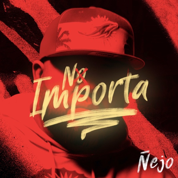 No Importa - Single album cover