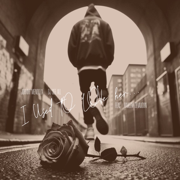 I Used to Love Her (feat. Raheem DeVaughn) - Single album cover