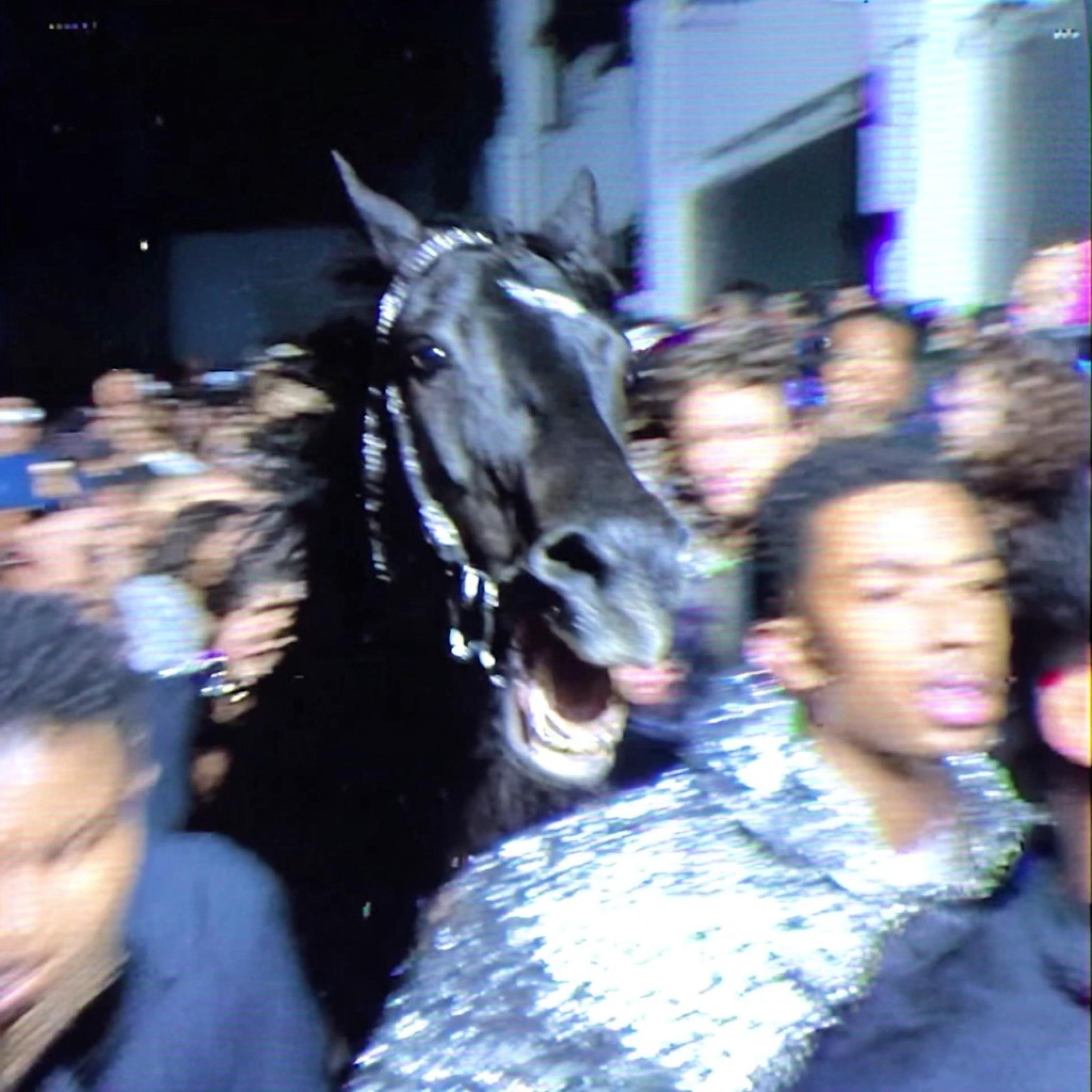 NO MATTER WHAT (feat. DJ Mykael V, Mogli the Iceburg & Torey D'Shaun) - Single album cover