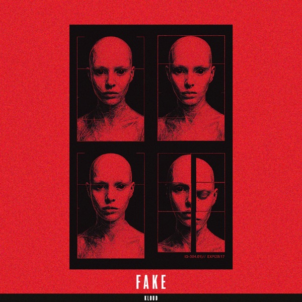 FAKE - Single album cover
