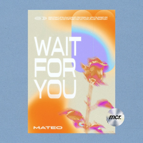 Wait For You - Single album cover
