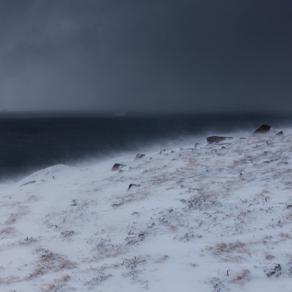 The Surface - Single album cover