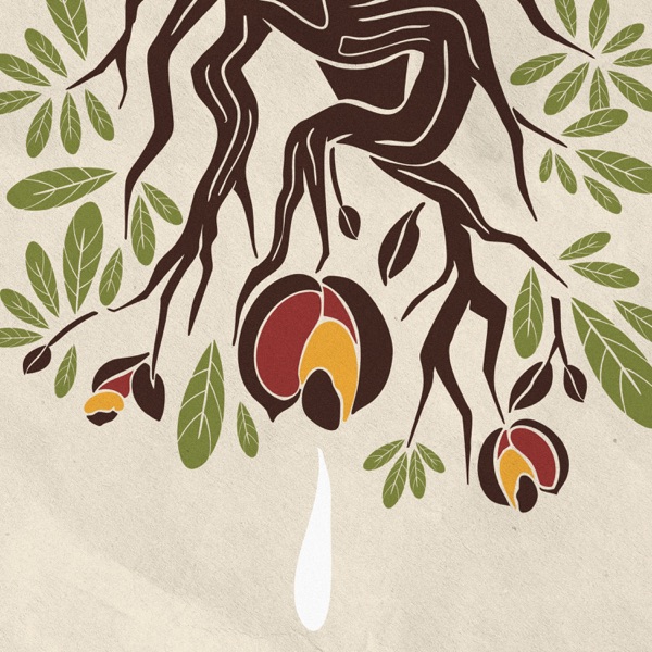 O Cerrado Ameaçado (feat. Carlos Rennó & César Lacerda) - Single album cover