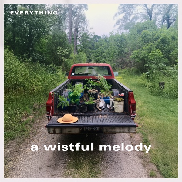 A Wistful Melody - Single album cover