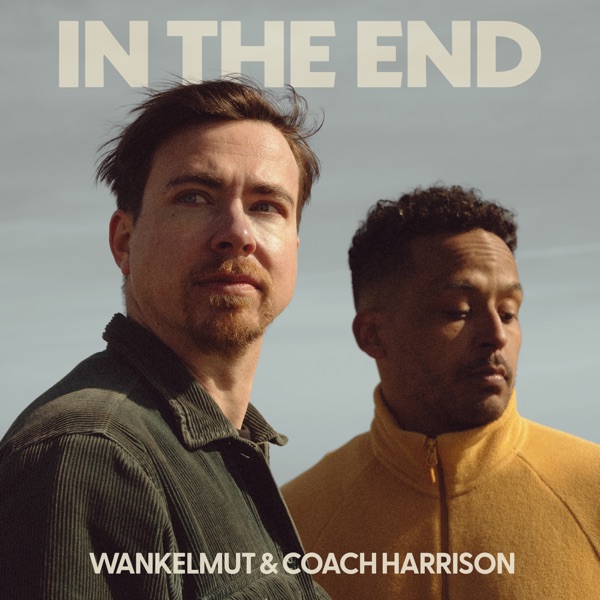 In the End (Extended) - Single album cover