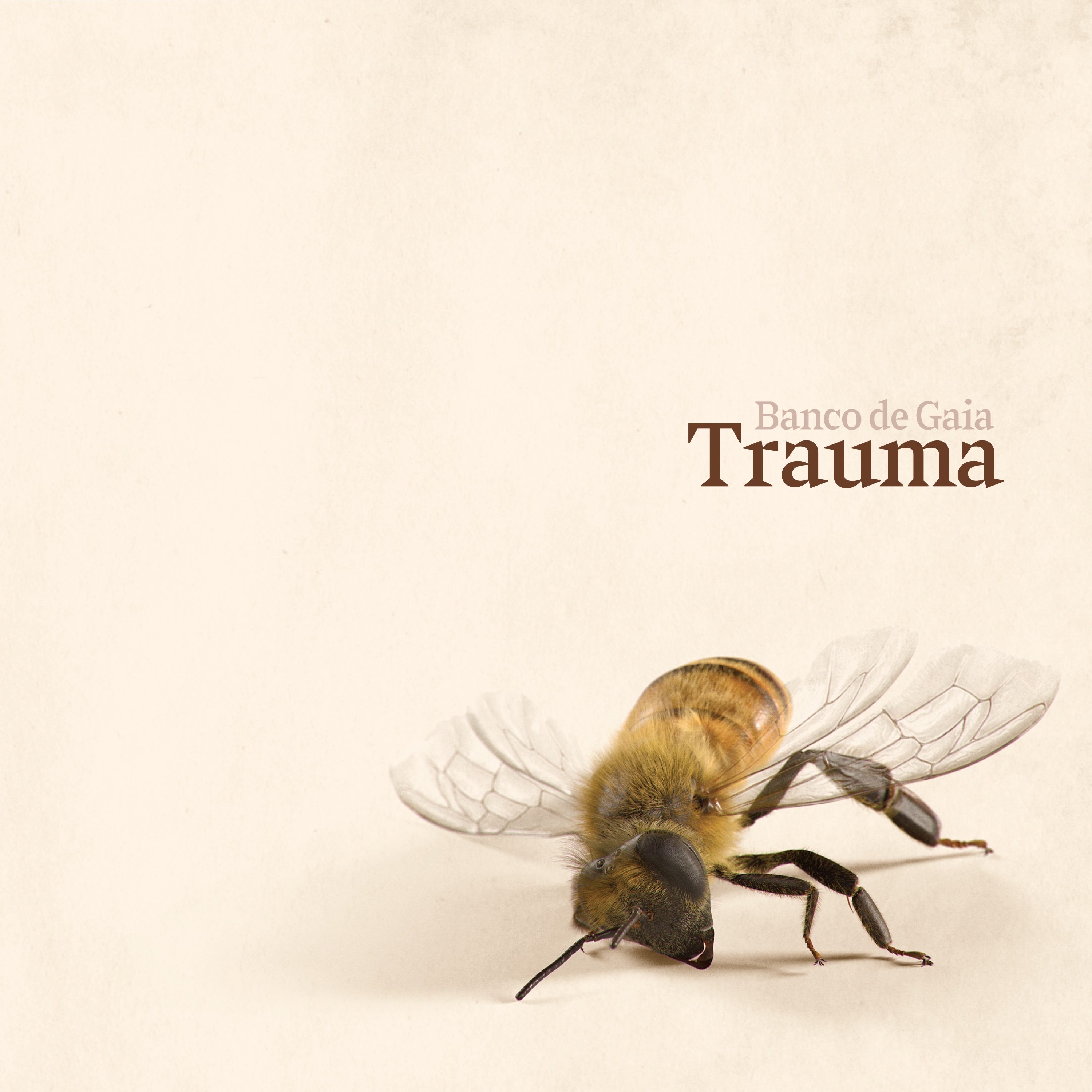 Trauma album cover