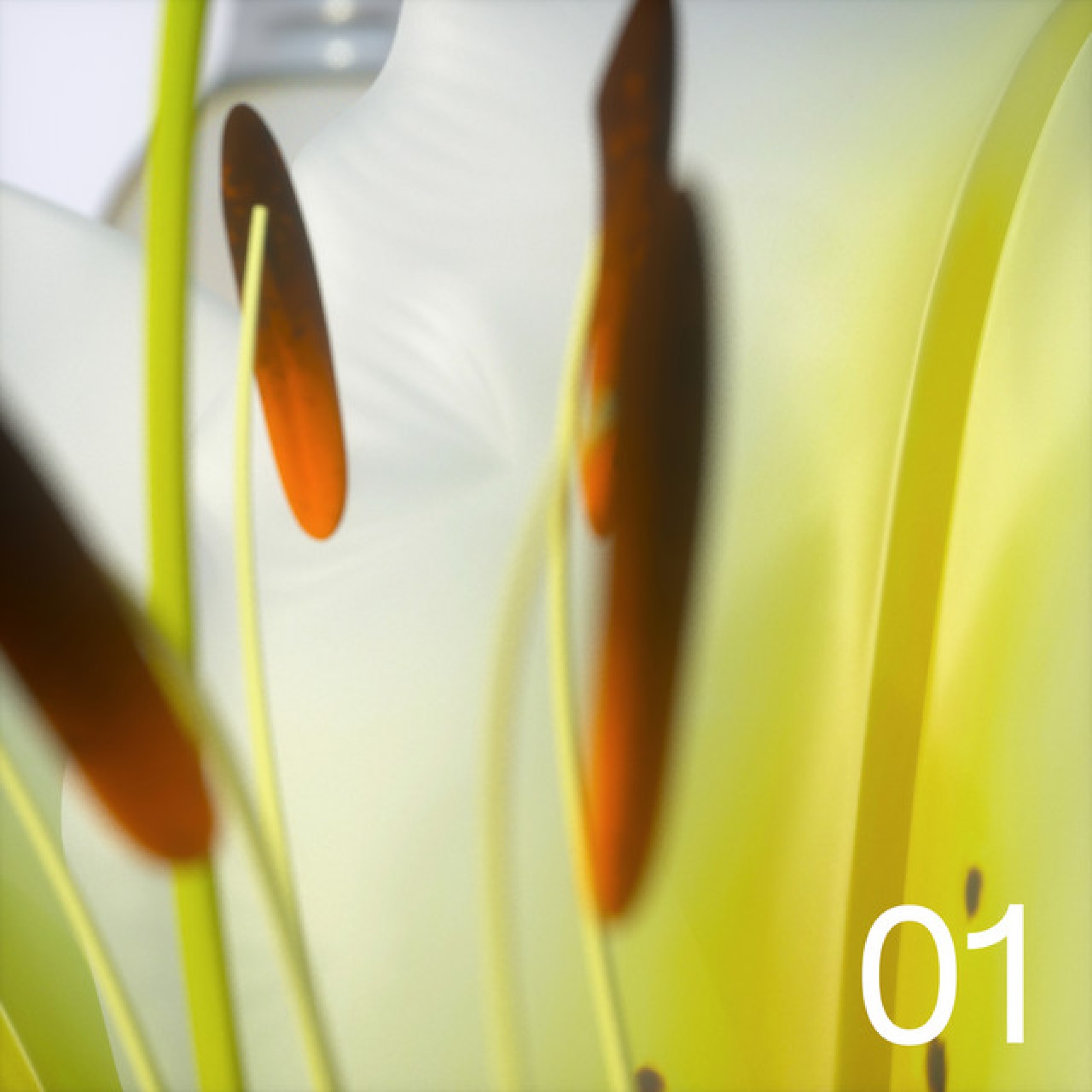 Closed Space (Single Edit) - Single album cover