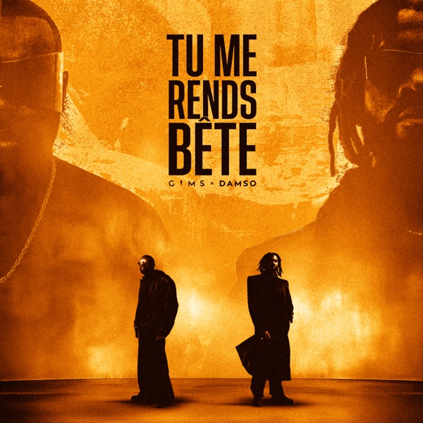 TU ME RENDS BÊTE - Single album cover