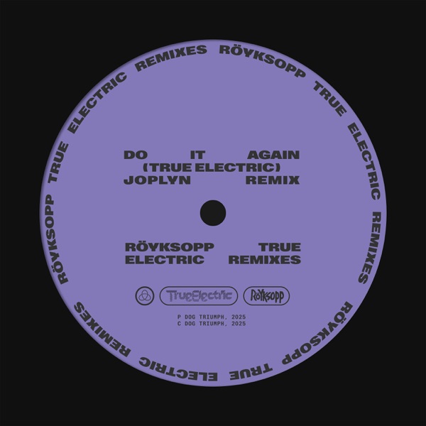 Do It Again (feat. Robyn) [Joplyn Remix] - Single album cover