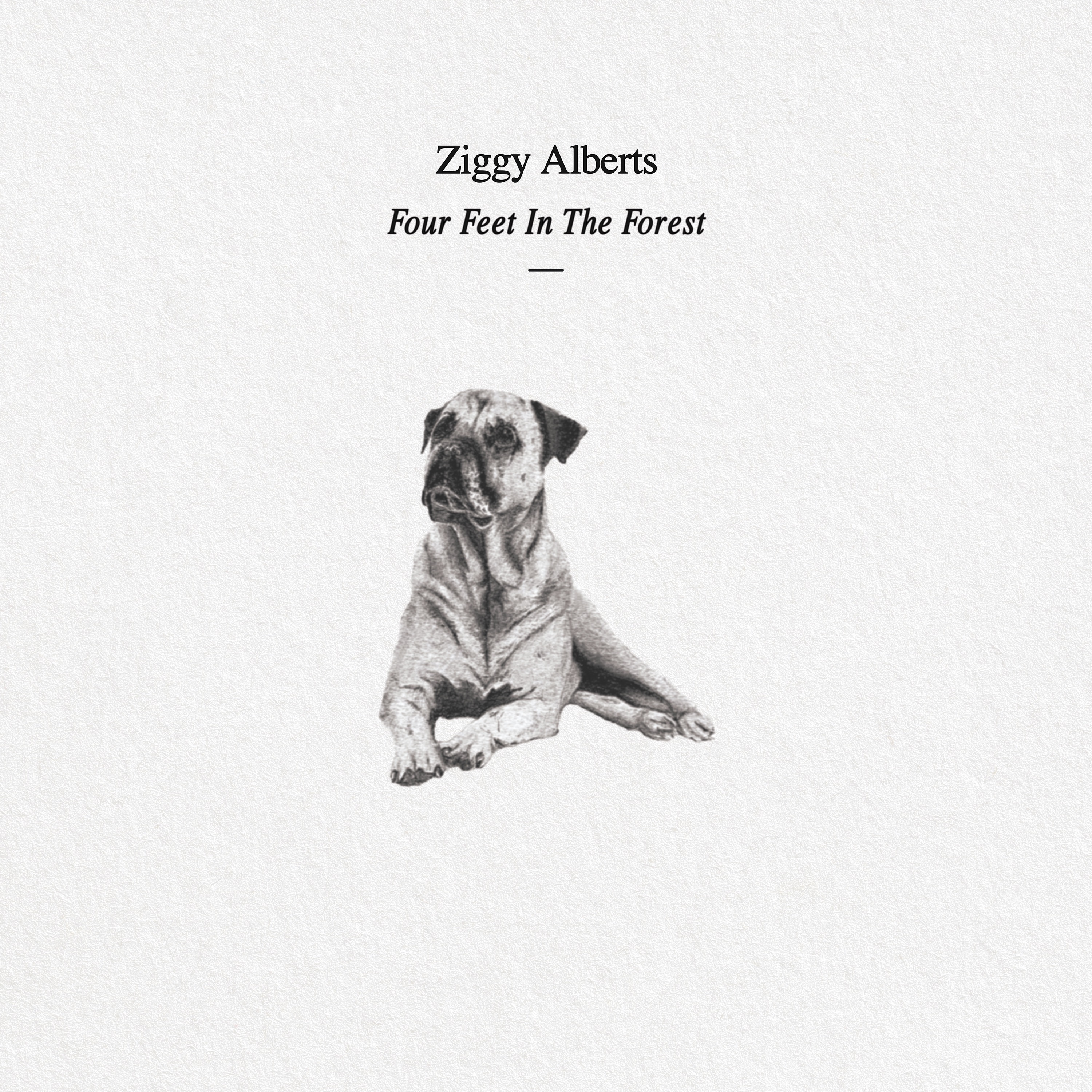 Four Feet in the Forest (10th Anniversary Edition) - EP album cover