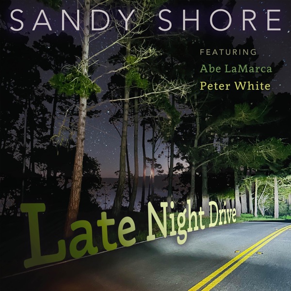Late Night Drive (feat. Abe LaMarca & Peter White) - Single album cover