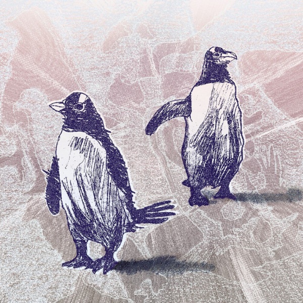 I've Never Seen The Northern Lights album cover