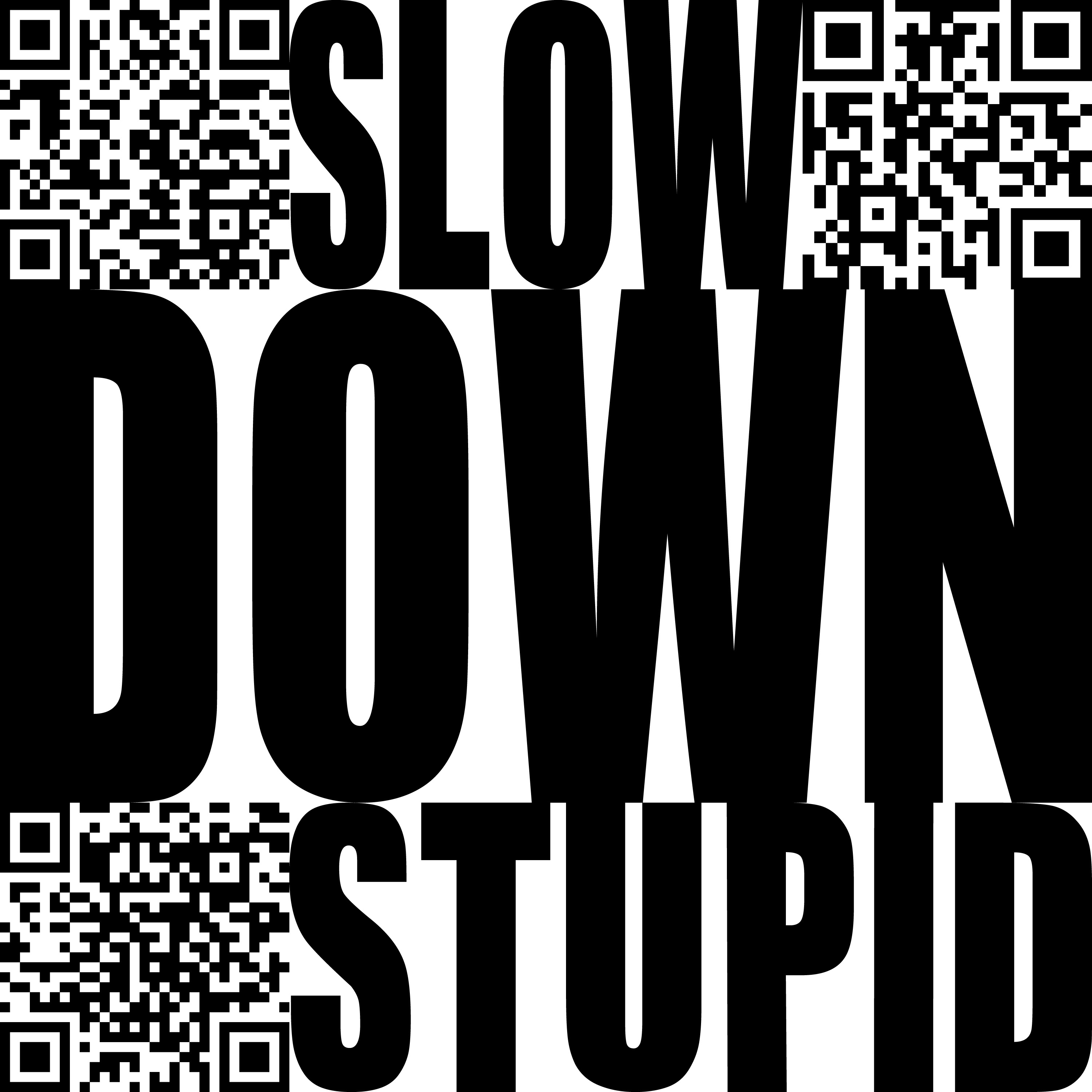 Slow Down Stupid album cover