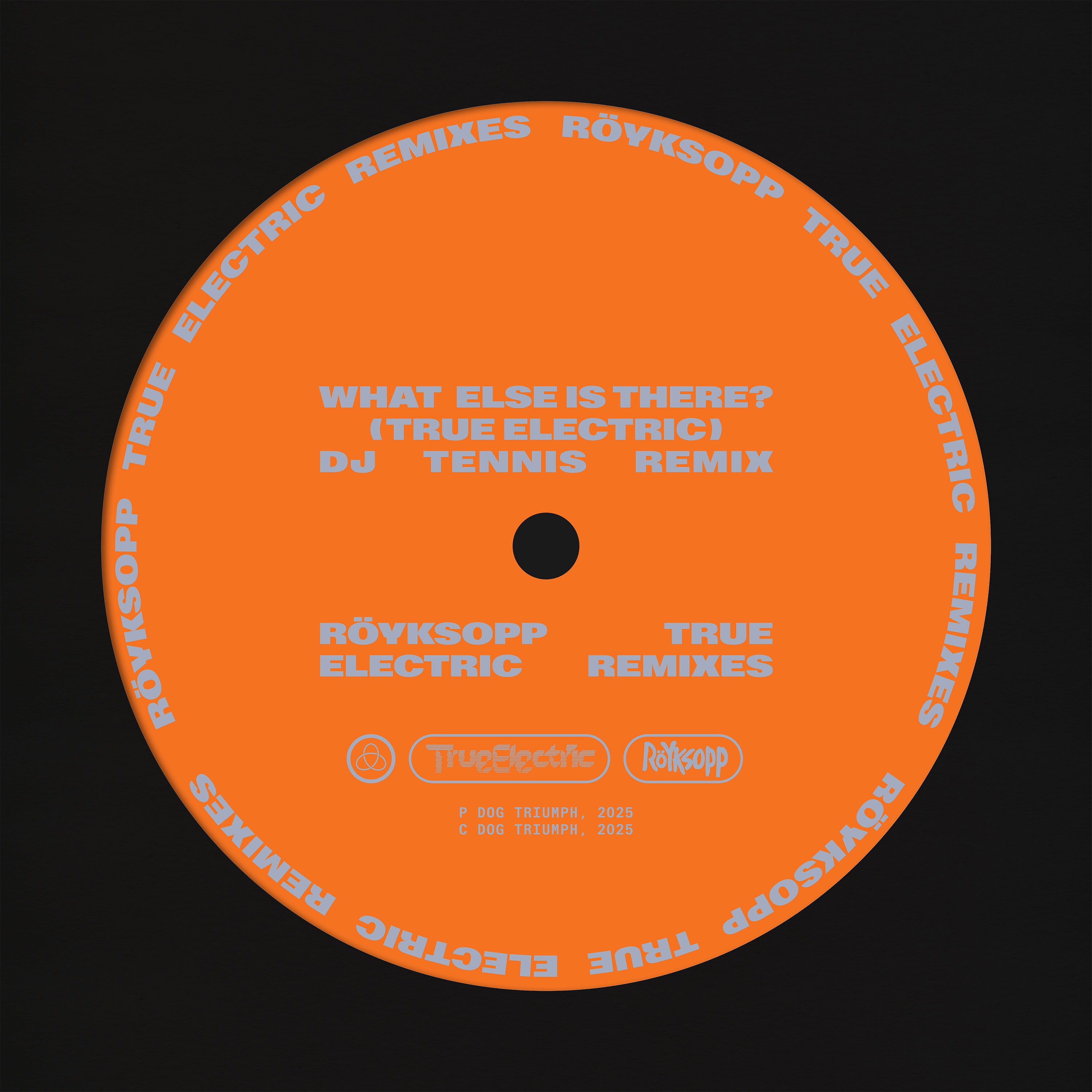 What Else Is There? (DJ Tennis Remix) - Single album cover