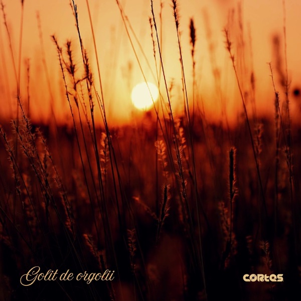 Golit de orgolii - Single album cover