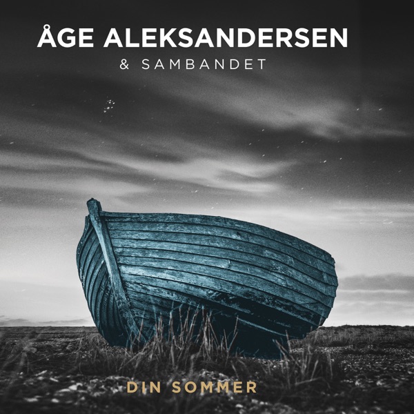 Din Sommer - Single album cover