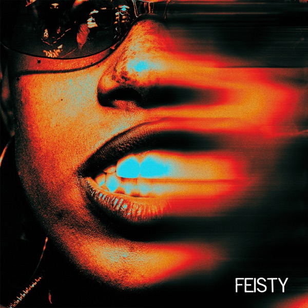 Feisty (feat. J.E.N.N.Y, ZDX) - Single album cover