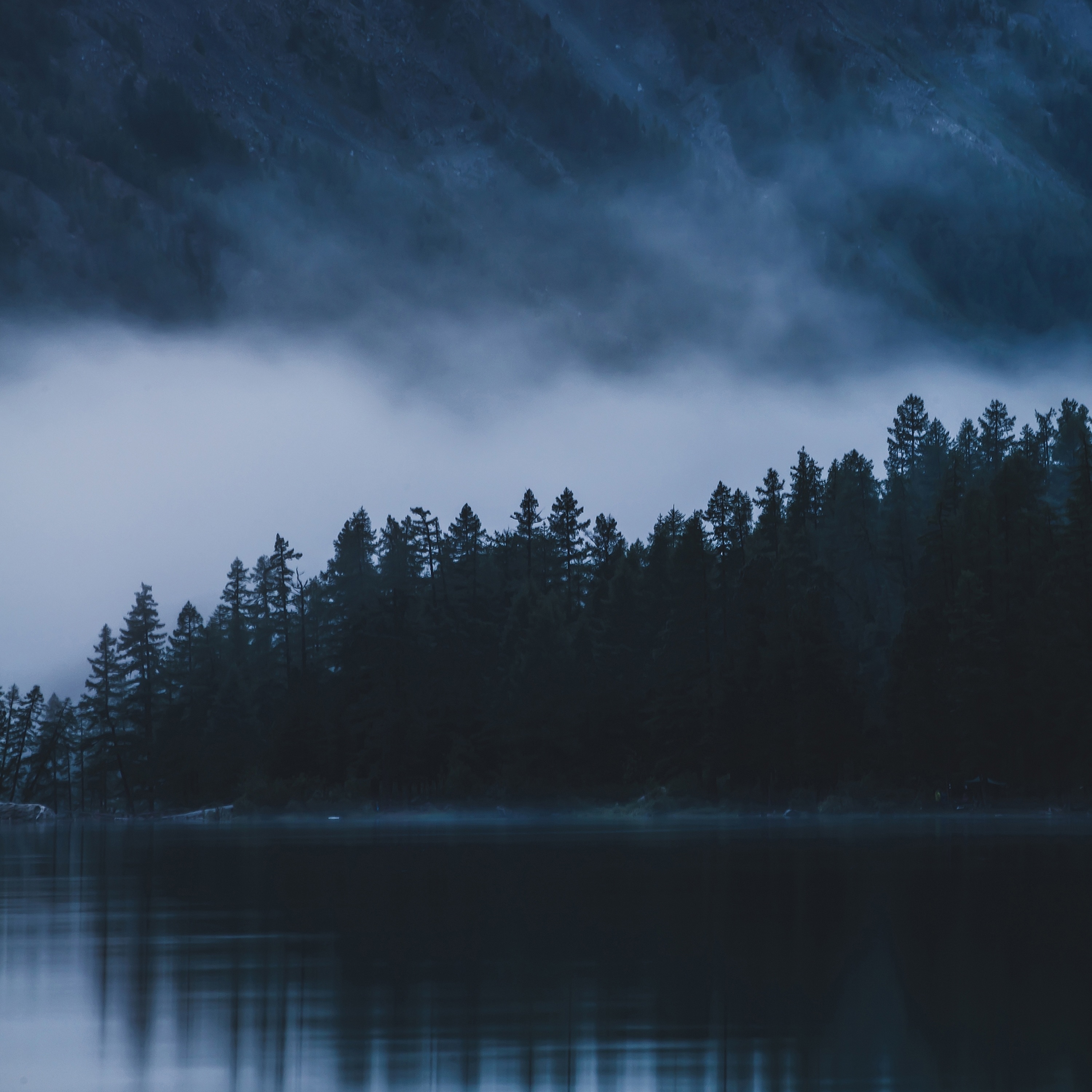 Shadows in Blue album cover