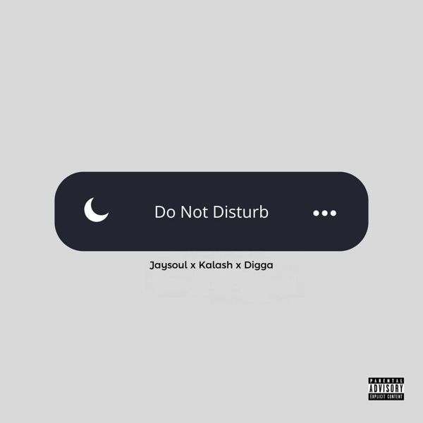 Do Not Disturb - Single album cover