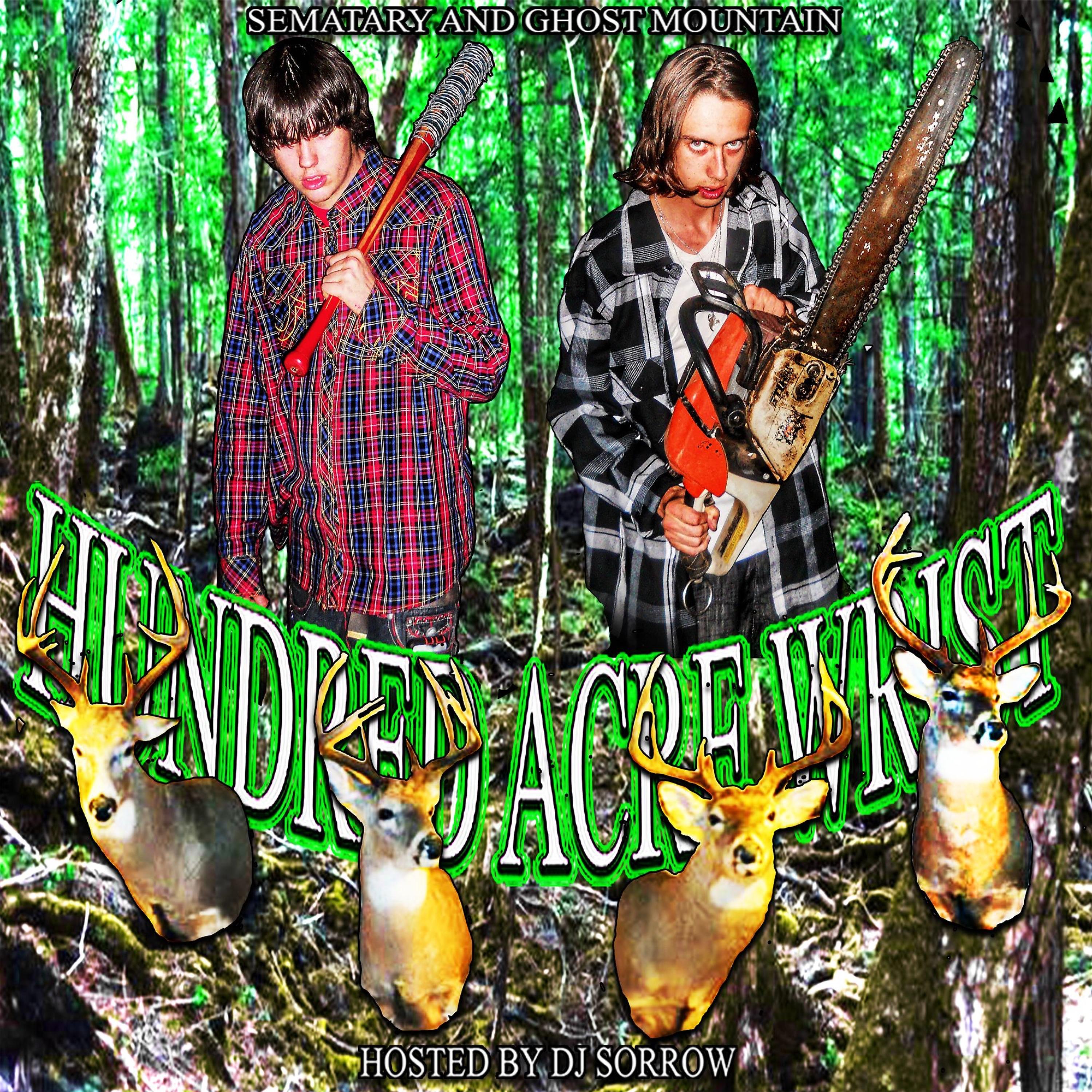 Hundred Acre Wrist album cover