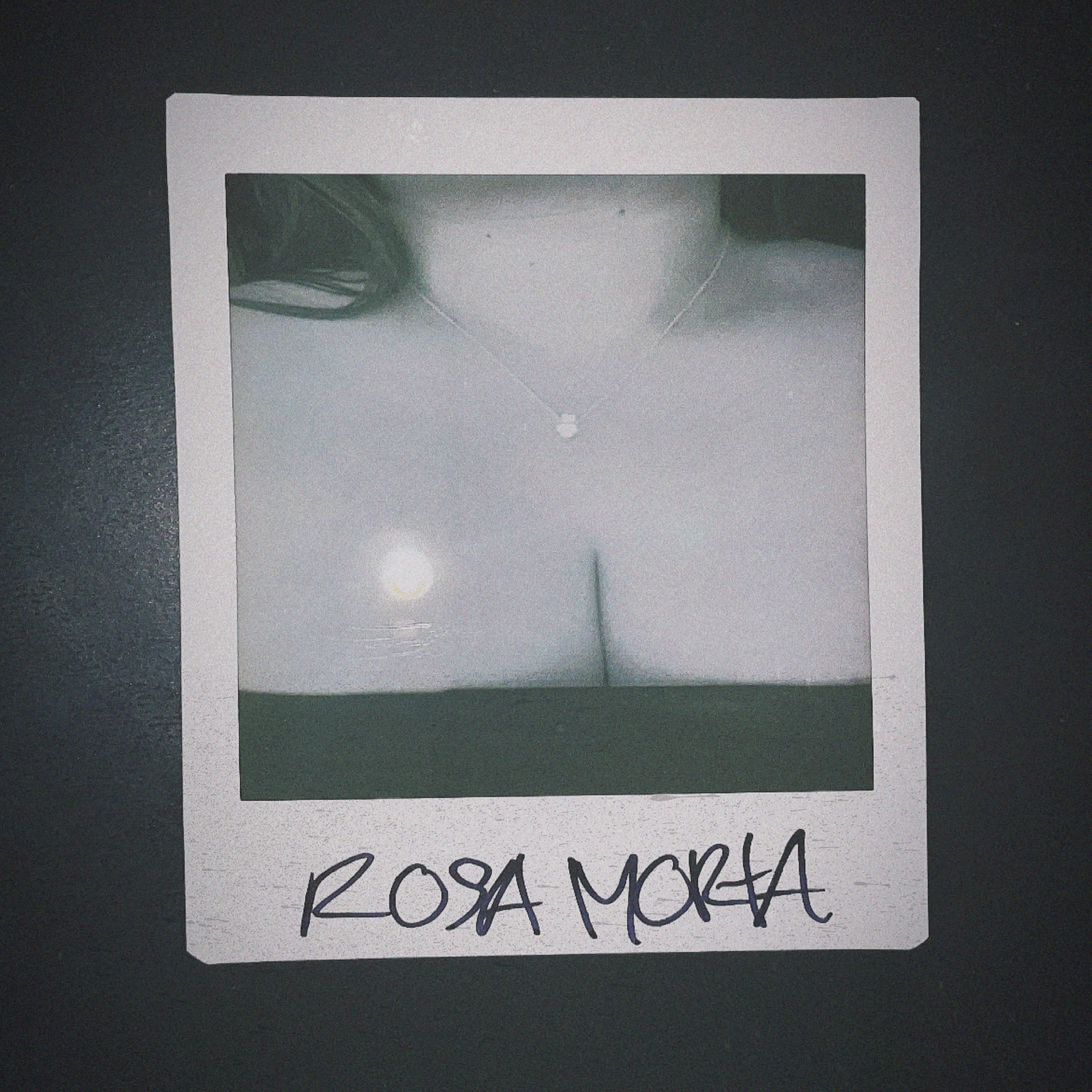 Rosa Morta album cover