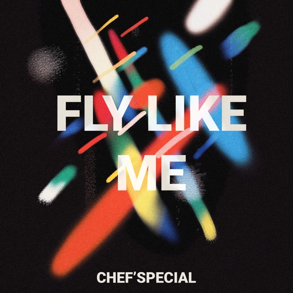 Fly Like Me - Single album cover