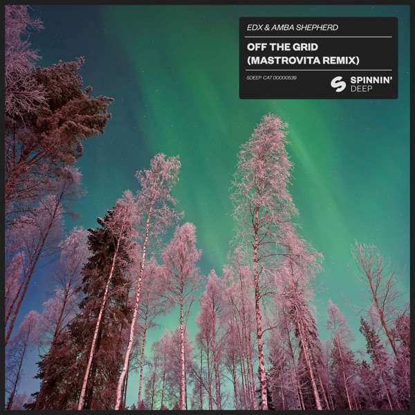 Off The Grid (Mastrovita Extended Remix) - Single album cover