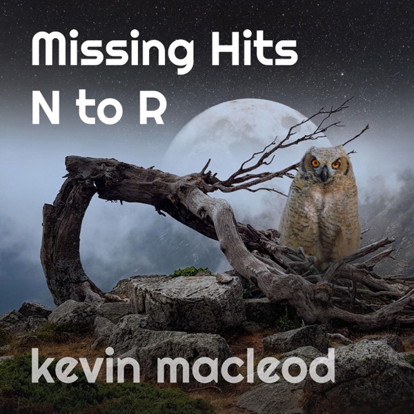 Missing Hit N to R album cover