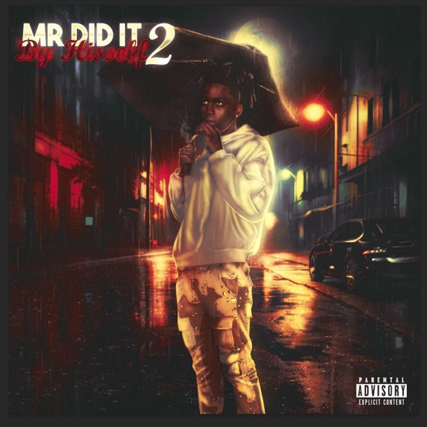 Mr Did It By Hisself 2 album cover
