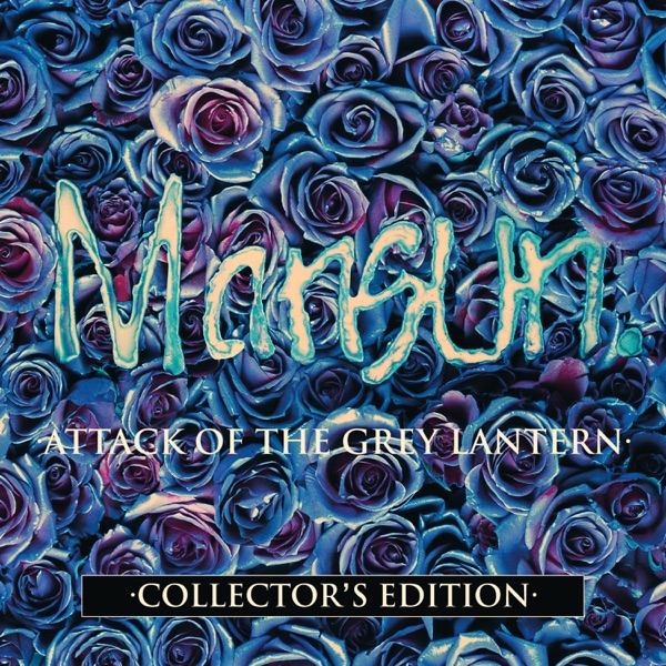 Attack of the Grey Lantern (Collector's Edition) album cover