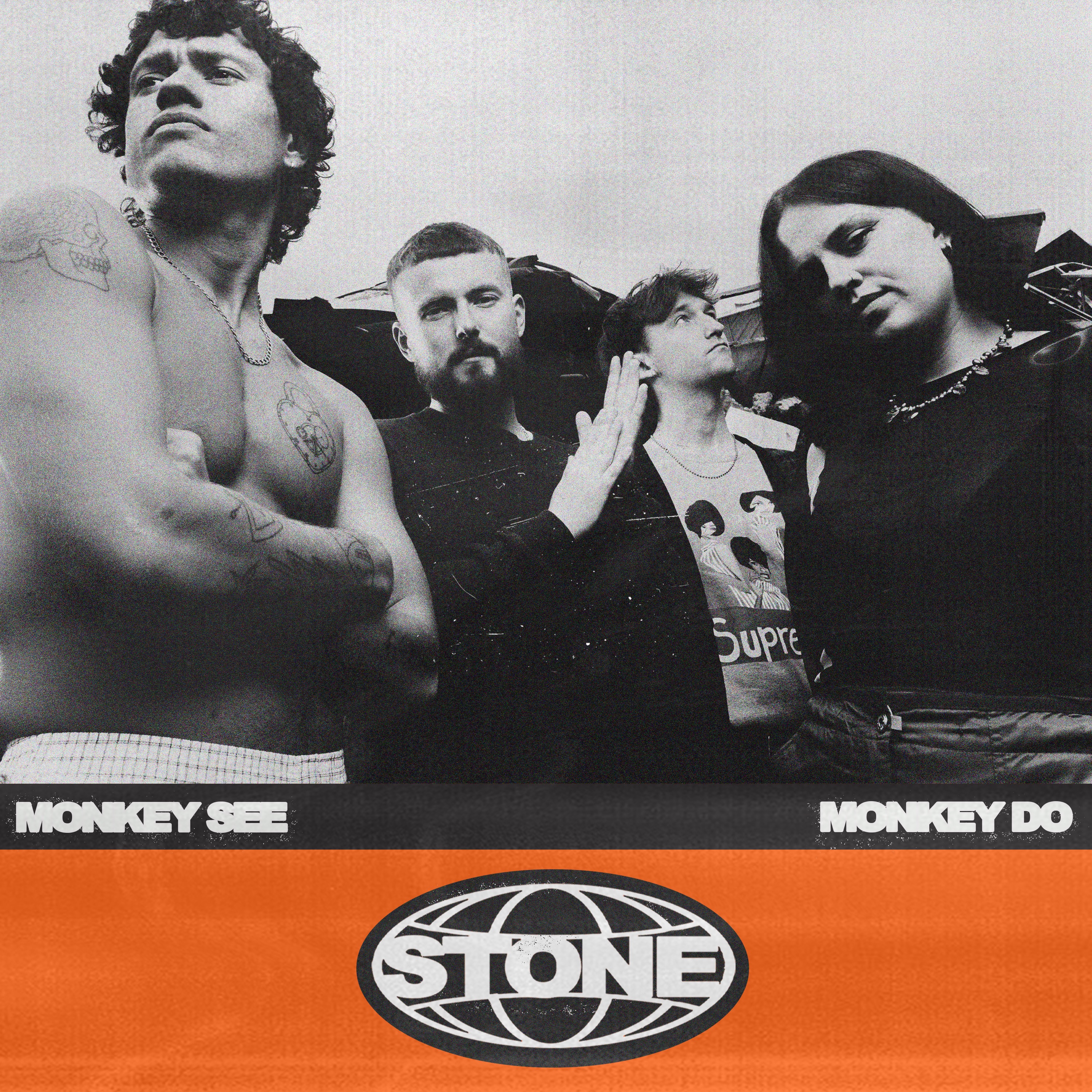 MONKEY SEE MONKEY DO - Single album cover