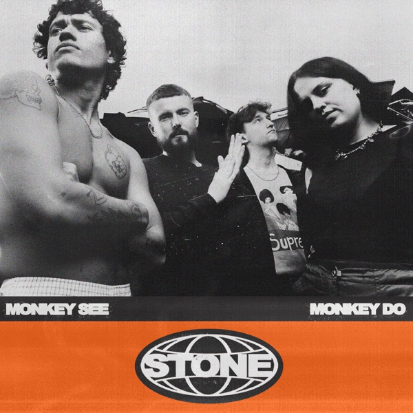 MONKEY SEE MONKEY DO - Single album cover