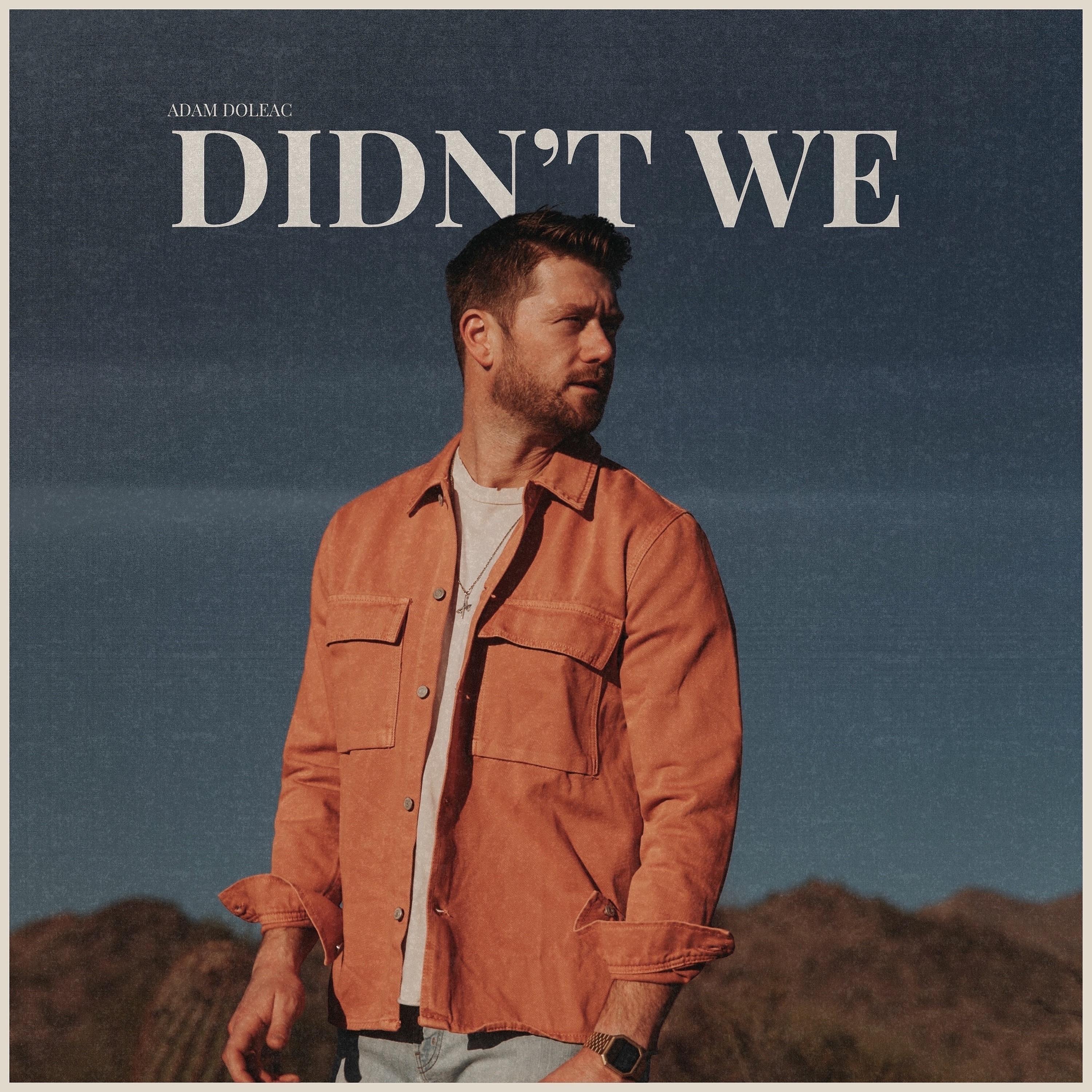 Didn't We - Single album cover