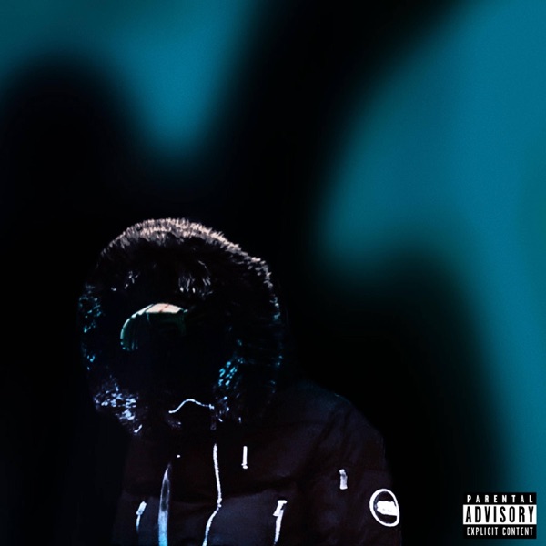 No Pain No Gain (Special Version) - Single album cover