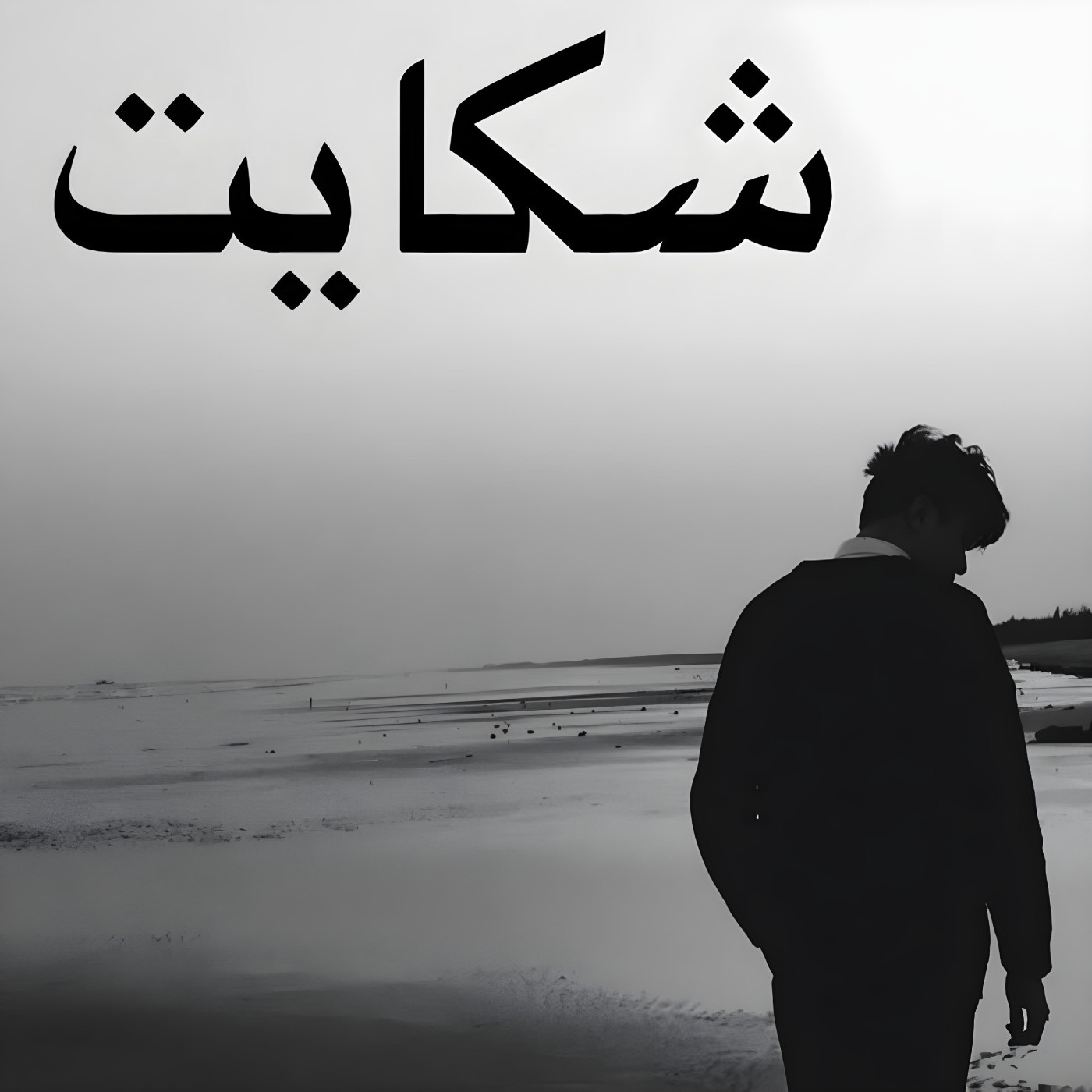 Shikayat - Single album cover