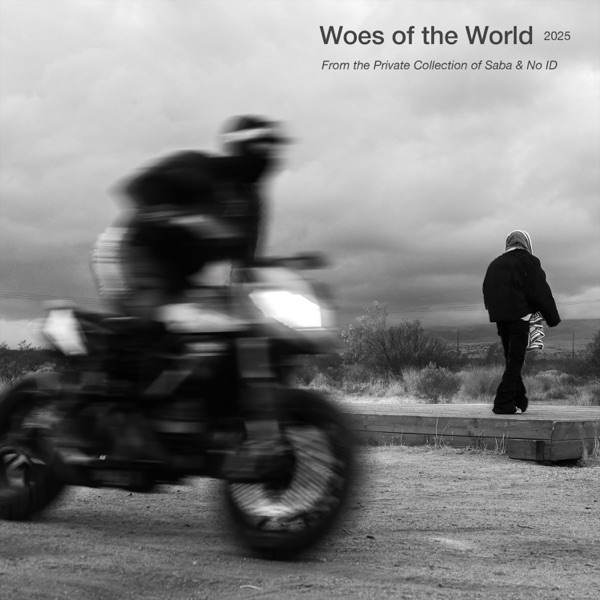 Woes of The World - Single album cover
