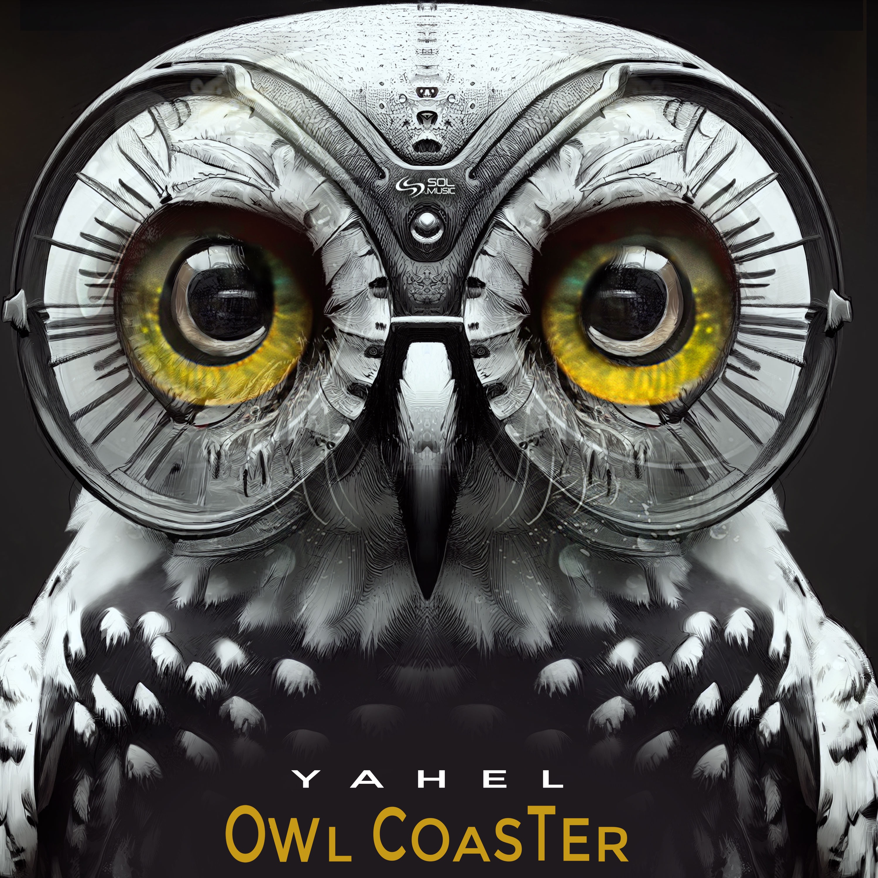 Owl Coaster - Single album cover