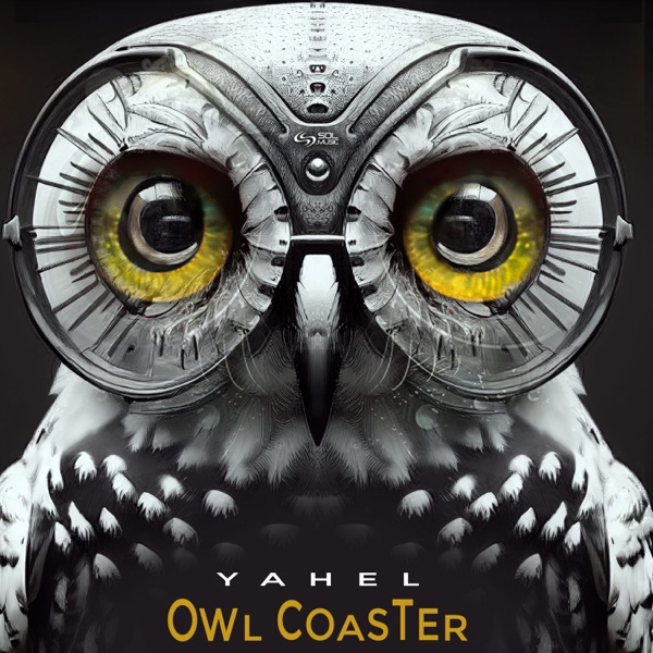 Owl Coaster - Single album cover