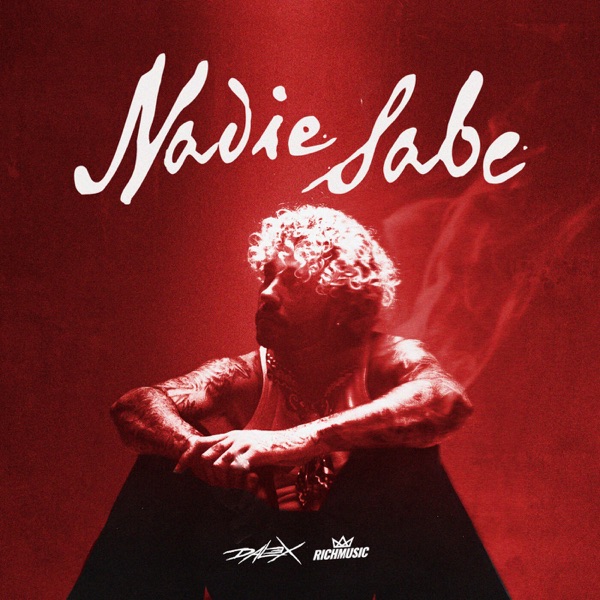 Nadie Sabe - Single album cover
