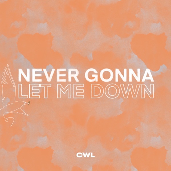 Never Gonna Let Me Down (feat. John Wilds & LaRue Howard) [Live] - Single album cover