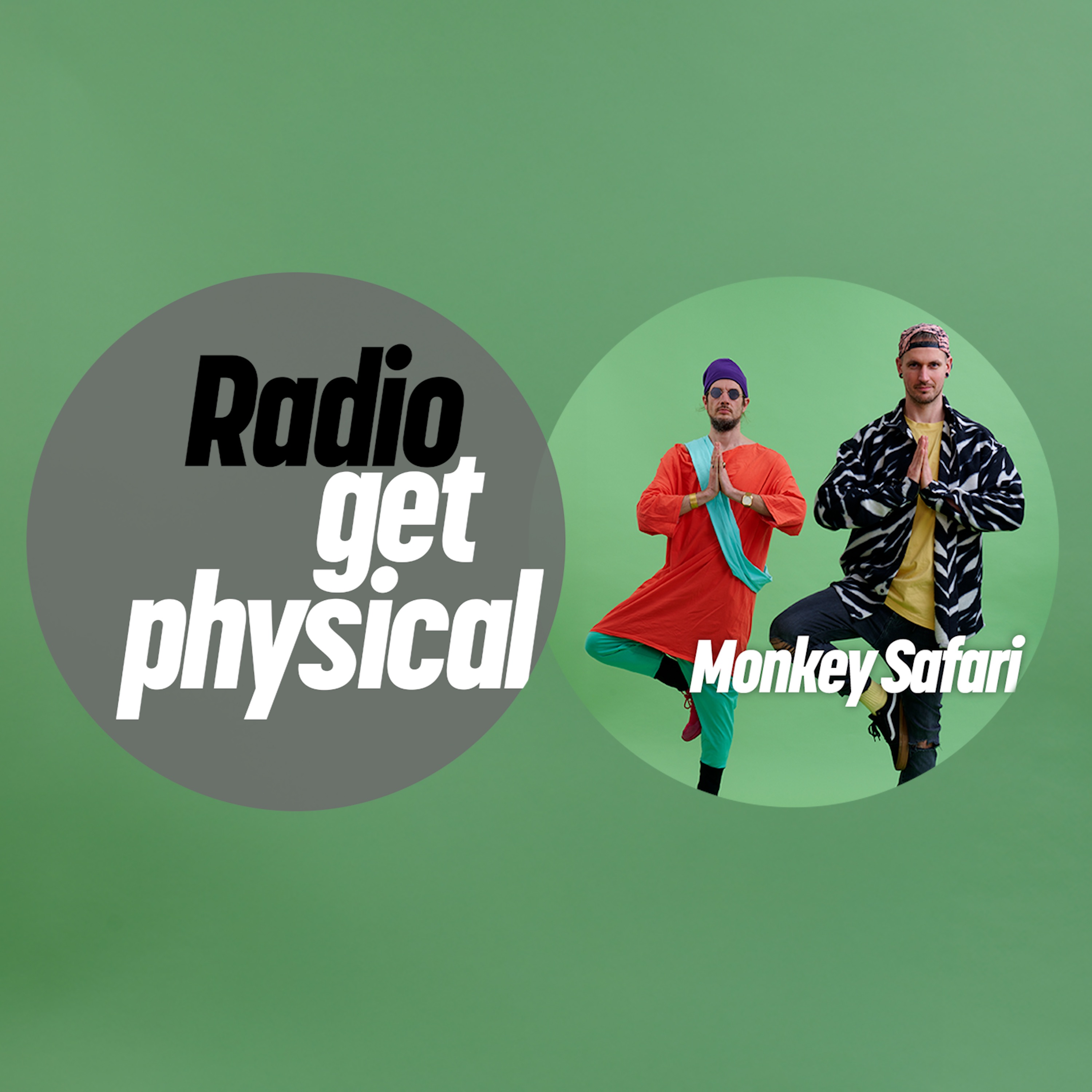 Get Physical Radio by Monkey Safari album cover