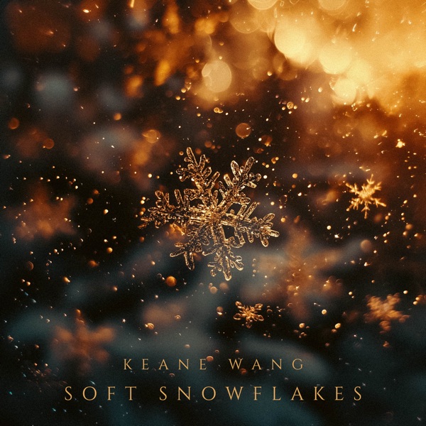Soft Snowflakes - EP album cover