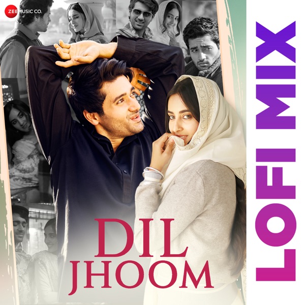 Dil Jhoom Lofi by DJ Raahul Pai - Single album cover