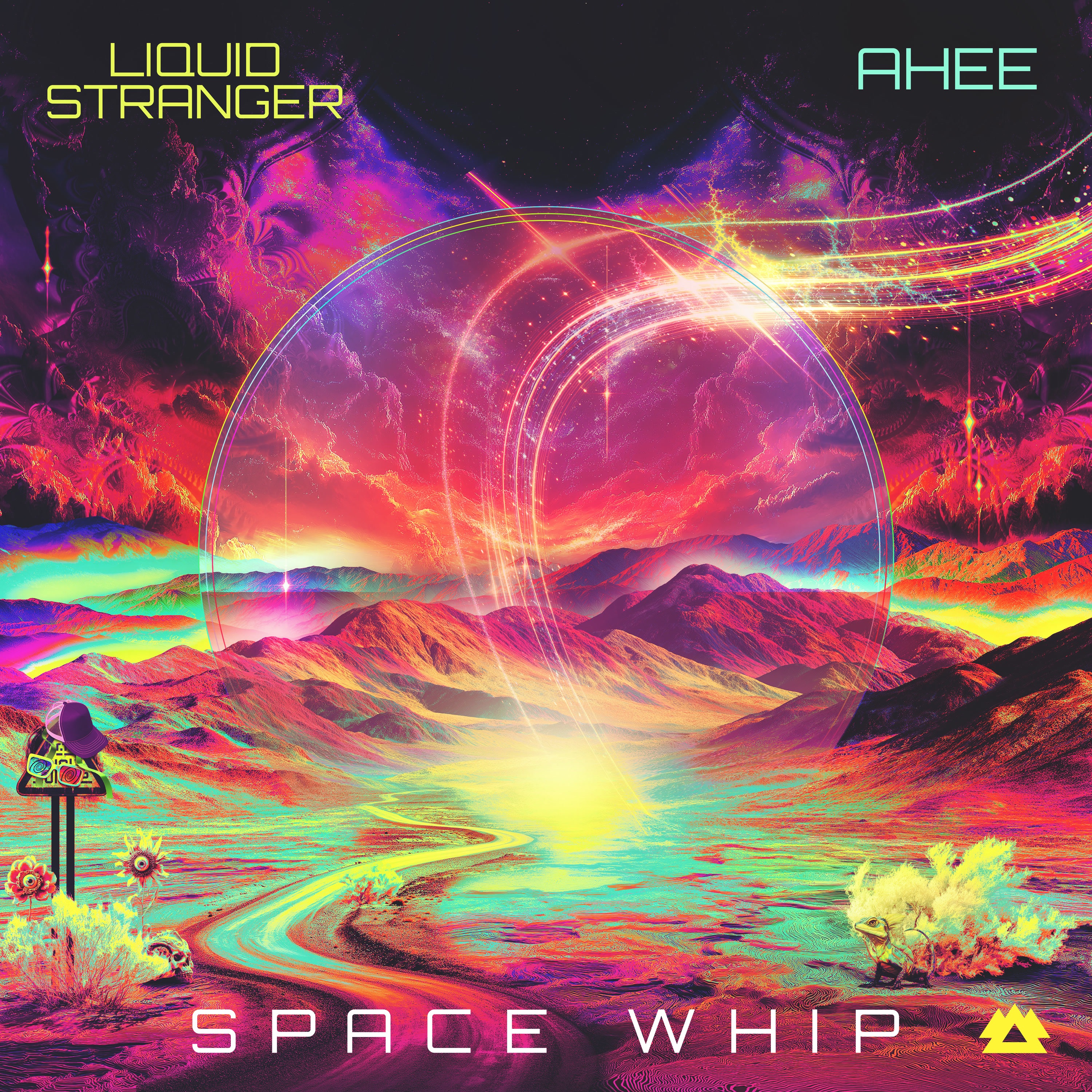 Space Whip - Single album cover
